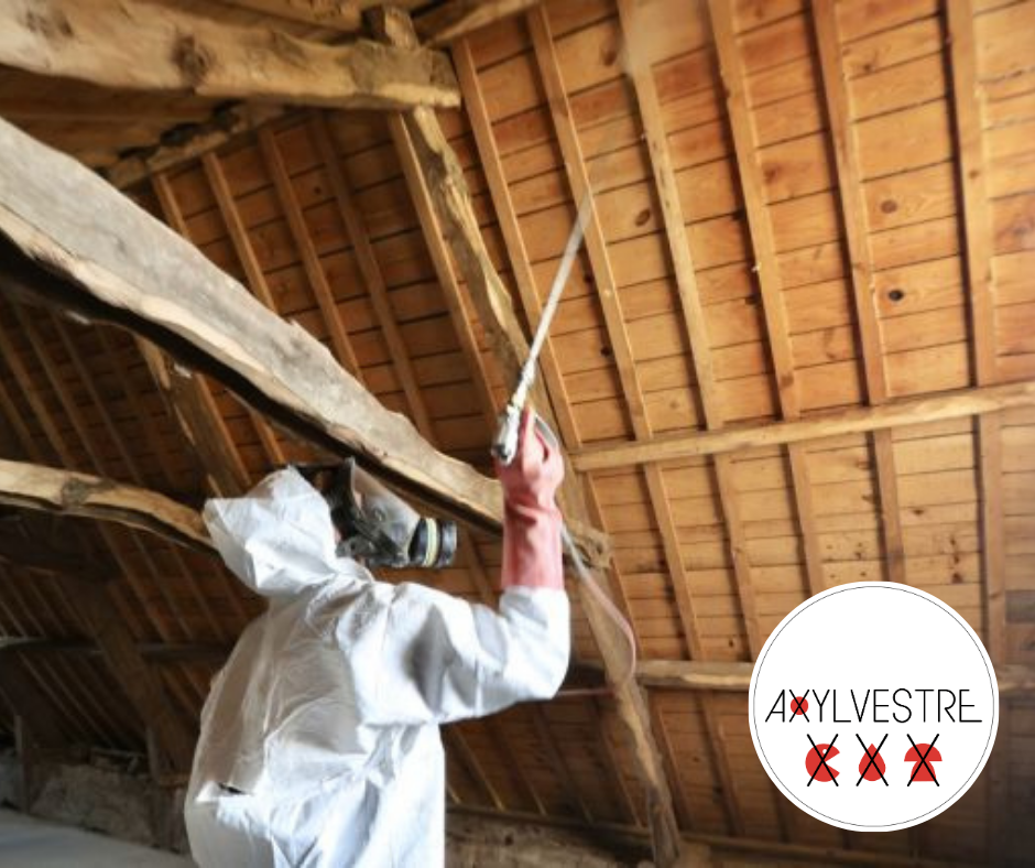 AXYLVESTRE MORBIHAN traitement des bois contre les insectes xylophages (1)