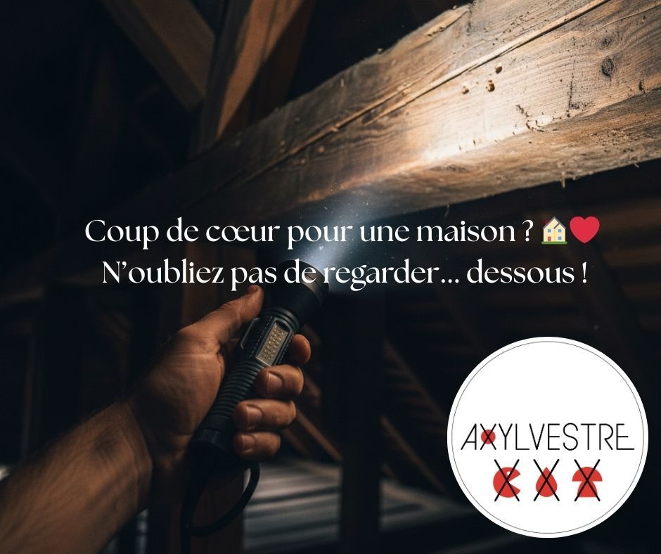 Diagnosti préachat Immobilier Axylvestre Lorient