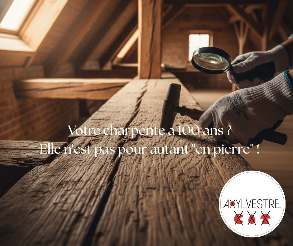 Santé charpente Axylvestre Bretagne Lorient