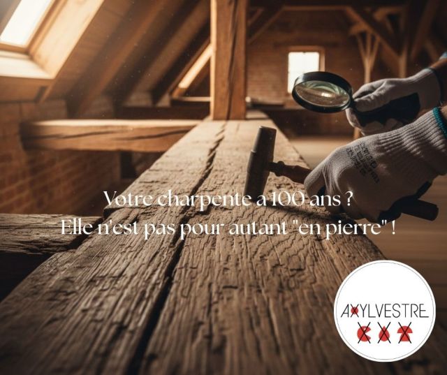 Santé charpente Axylvestre Bretagne Lorient