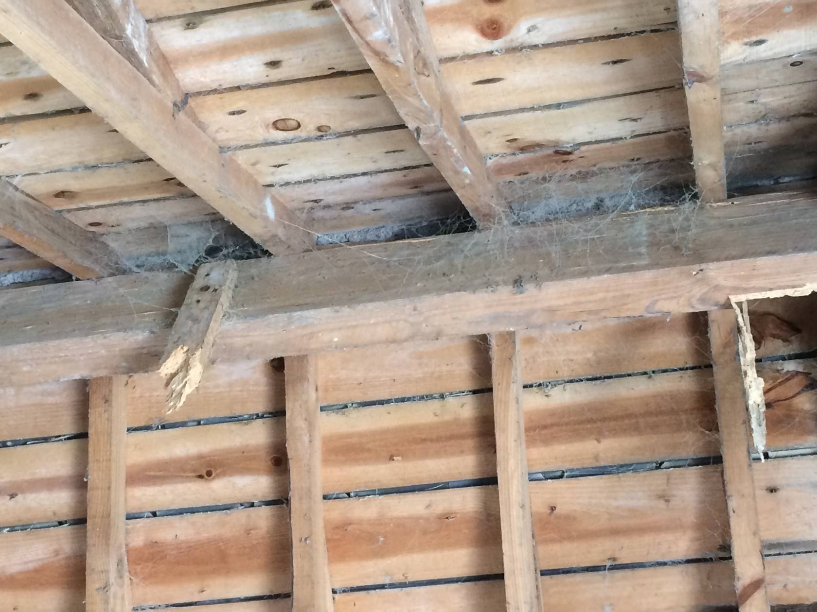 Charpente bois d’une maison à rénover en Bretagne